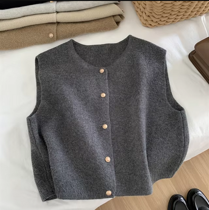 Knitted Vest for Women O-Neck Single Breasted Sleeveless Casual Coat Autumn Winter 2025 New Solid Female Stretch Sweater